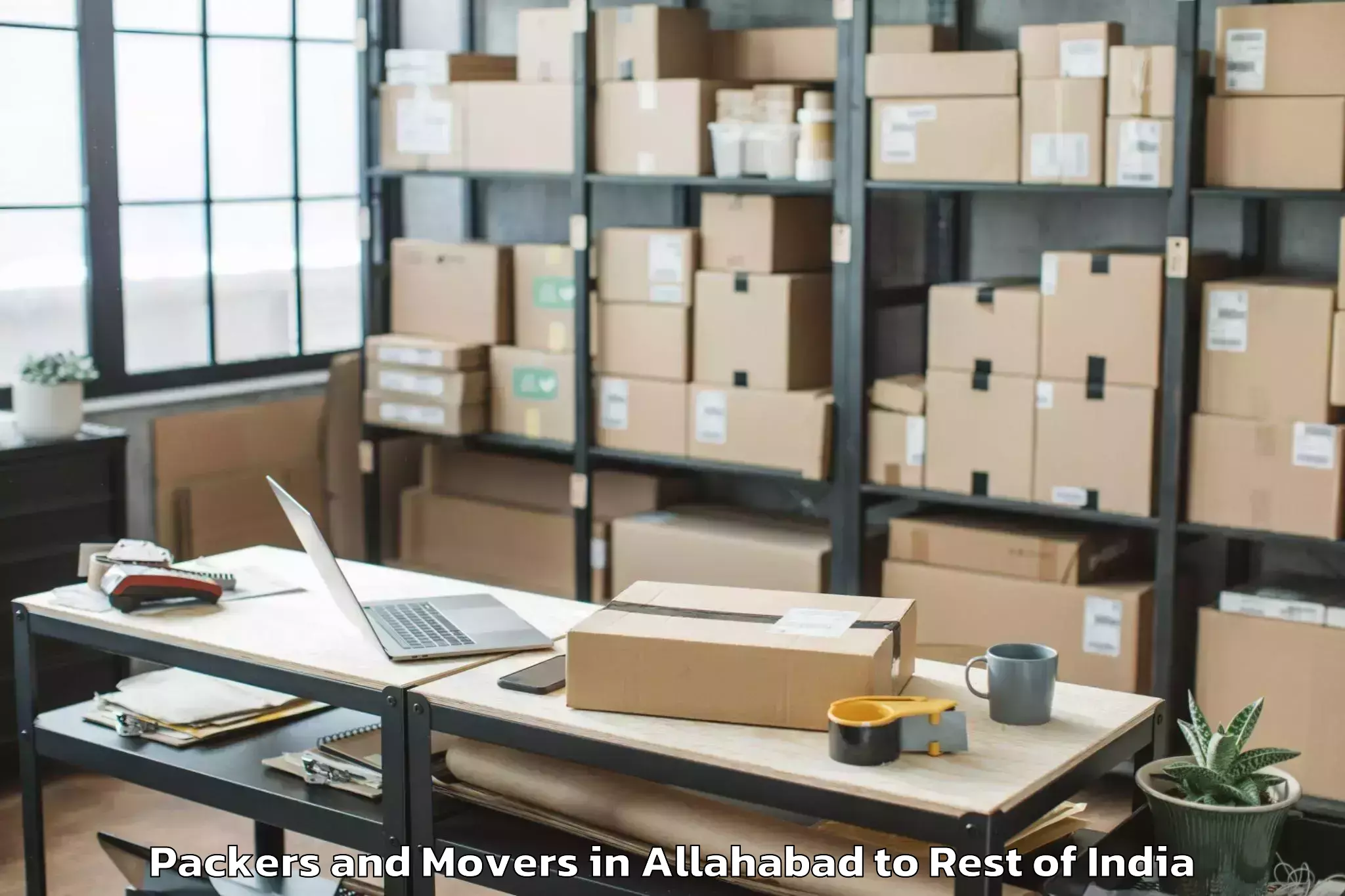 Affordable Allahabad to Peddamandaddi Packers And Movers